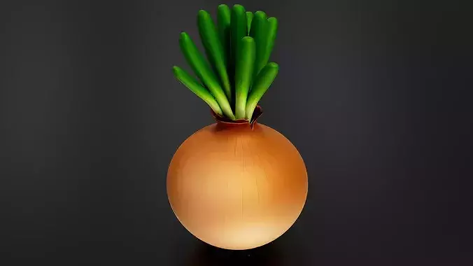 Food Vegetables Onion 3D print model 3