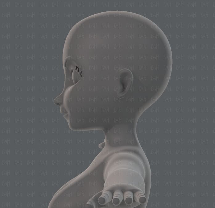 Base mesh woman 01 Low-poly 3D model_24