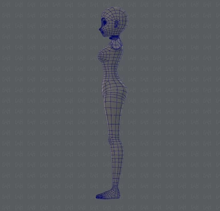 Base mesh woman 01 Low-poly 3D model_16