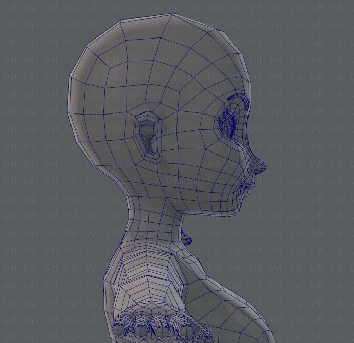 Base mesh woman 01 Low-poly 3D model_39
