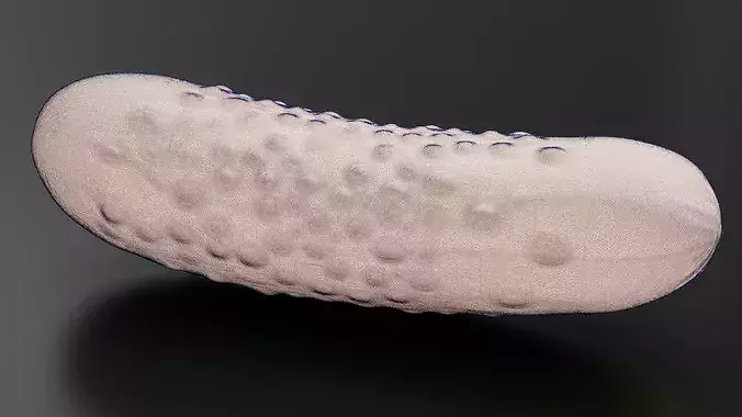 Food Vegetables Cucumber 3D print model 7