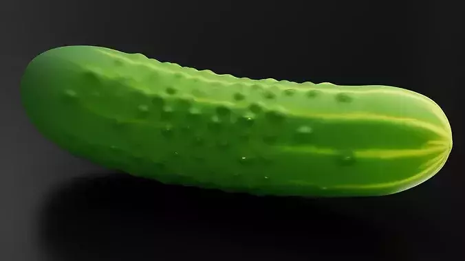 Food Vegetables Cucumber 3D print model 2