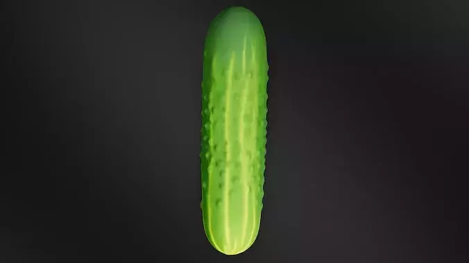 Food Vegetables Cucumber 3D print model 6