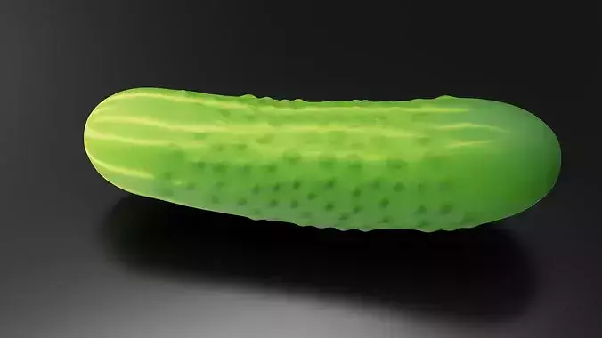 Food Vegetables Cucumber 3D print model 4