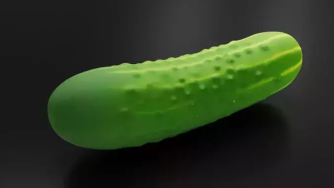 Food Vegetables Cucumber 3D print model 5