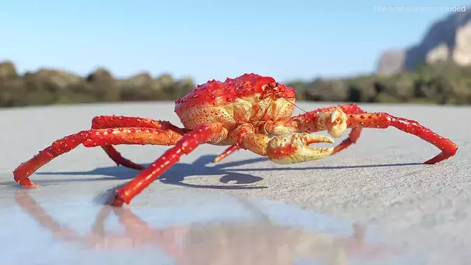 Red King Crab Rigged For Blender 3D model 3