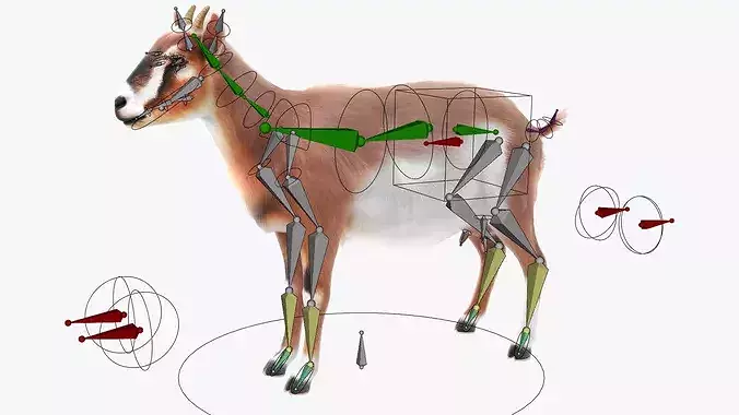 Dairy Goat Fur Rigged for Blender 3D model 2