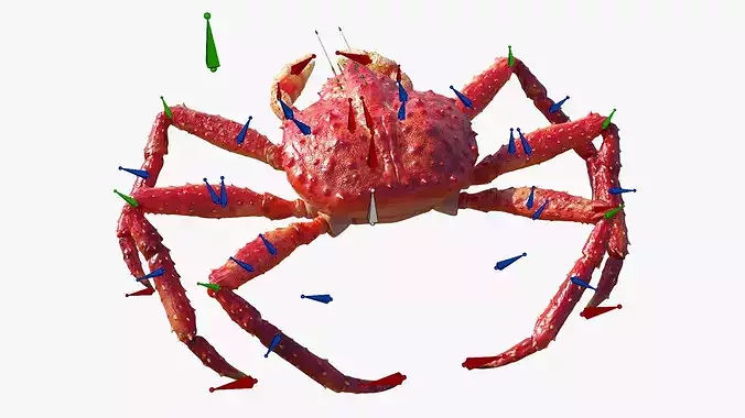 Red King Crab Rigged For Blender Animated Set 3D model 3