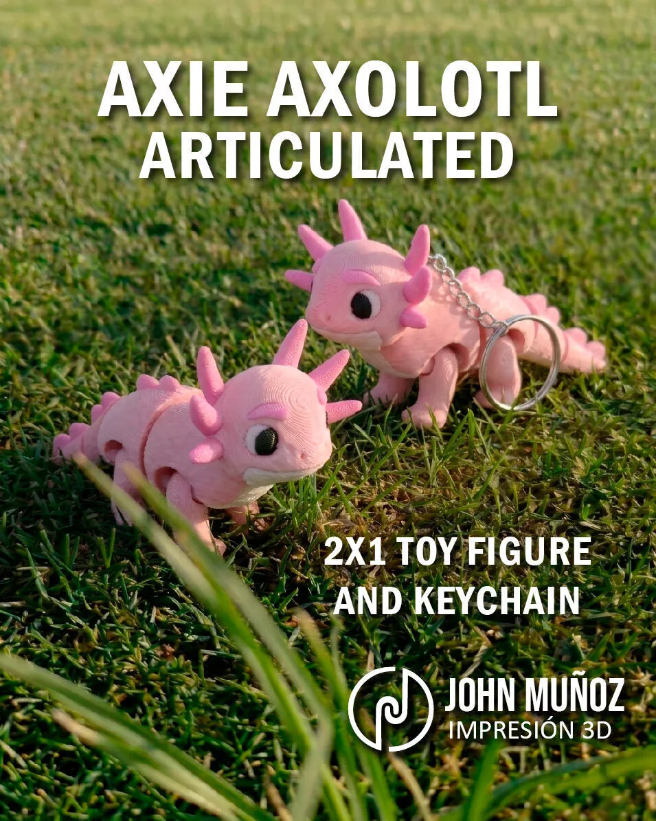 Axie axolotl fidget Toy Keychain Articulated free support Free 3D print model