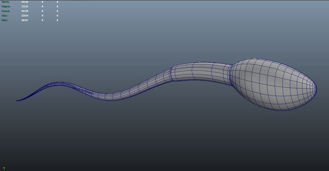 Sperm 3D print model