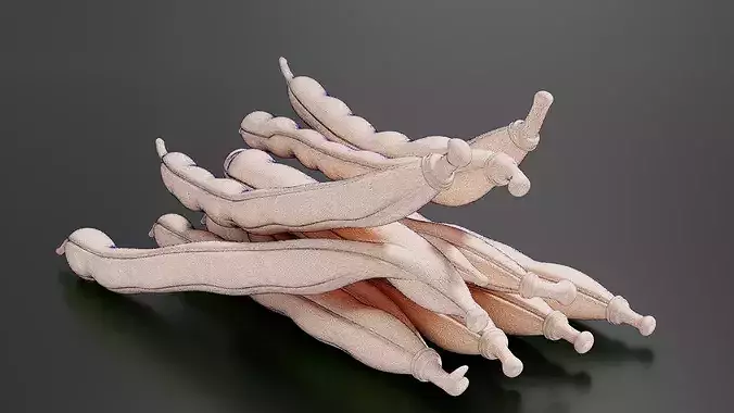 Food Vegetables Green Beans 3D print model 7