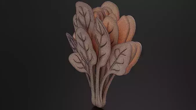 Food Vegetables Spinach 3D print model 7