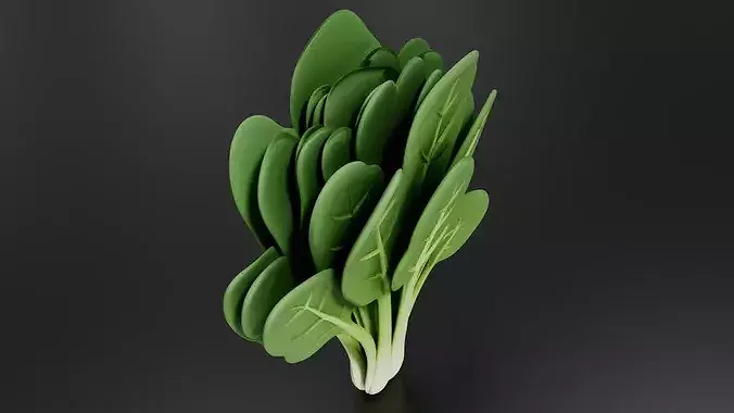 Food Vegetables Spinach 3D print model 3