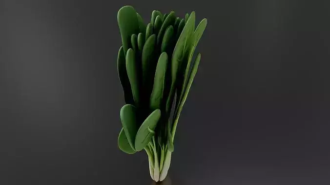 Food Vegetables Spinach 3D print model 5