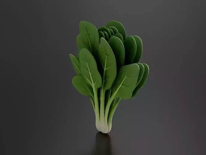 Food Vegetables Spinach 3D print model