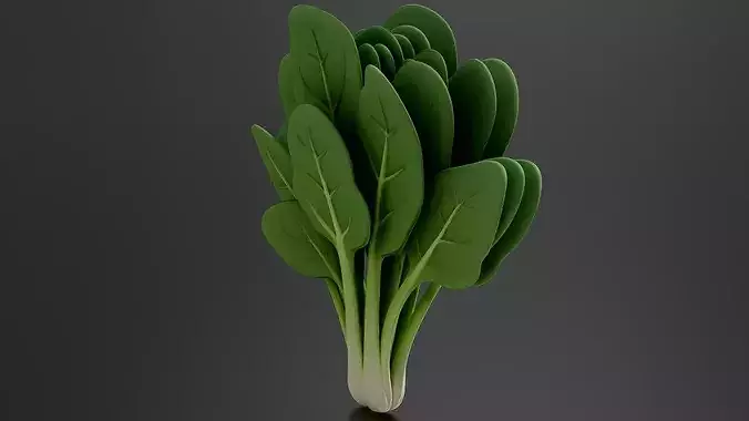 Food Vegetables Spinach 3D print model 2