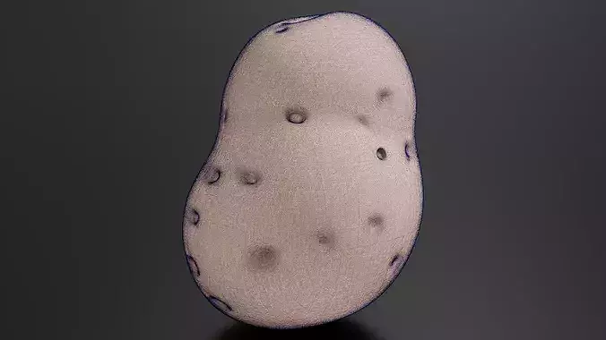 Food Vegetables Potato 3D print model 7