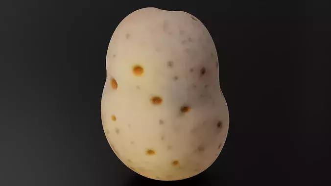 Food Vegetables Potato 3D print model 4