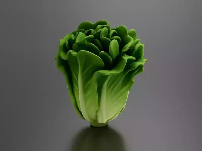 Food Vegetables Lettuce 3D print model