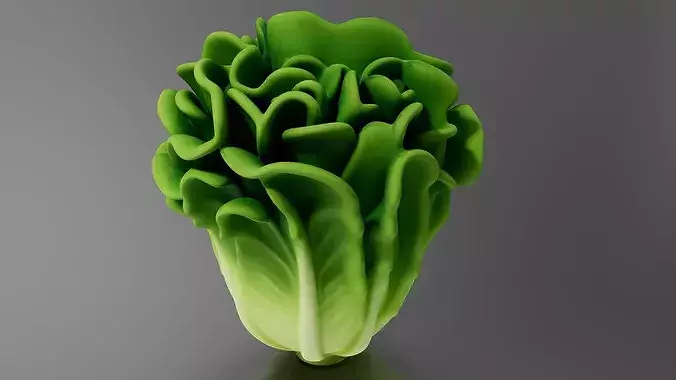 Food Vegetables Lettuce 3D print model 4