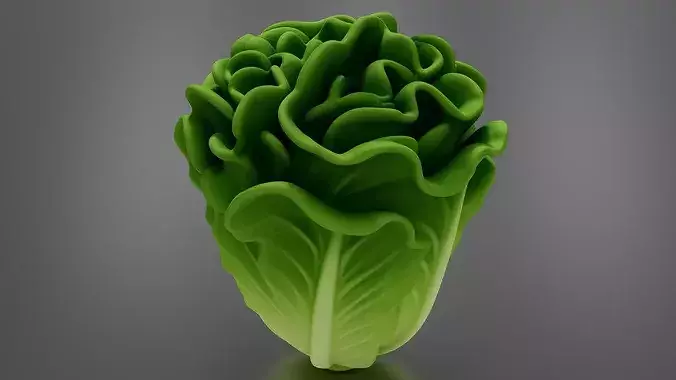 Food Vegetables Lettuce 3D print model 5