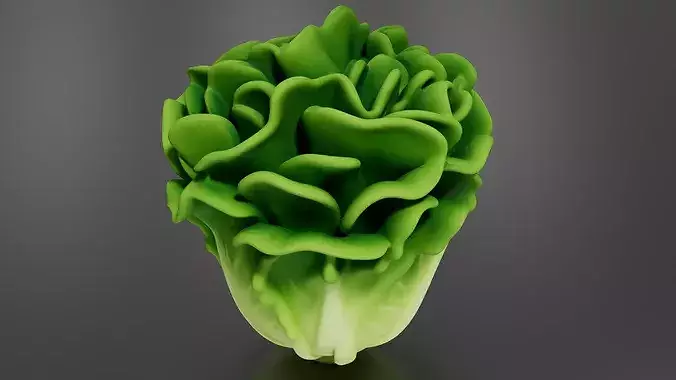 Food Vegetables Lettuce 3D print model 3