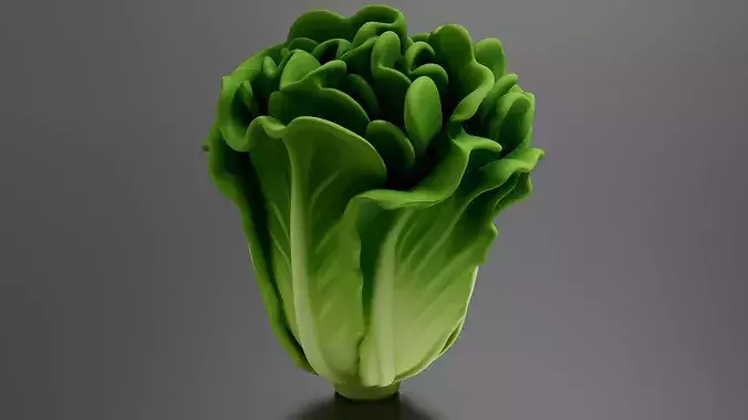 Food Vegetables Lettuce 3D print model 2