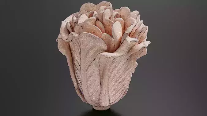 Food Vegetables Lettuce 3D print model 7
