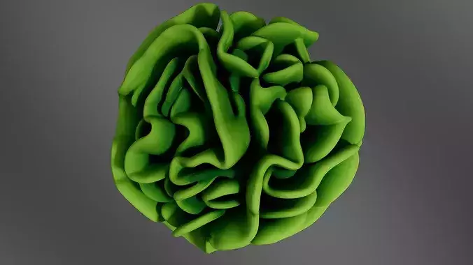 Food Vegetables Lettuce 3D print model 6