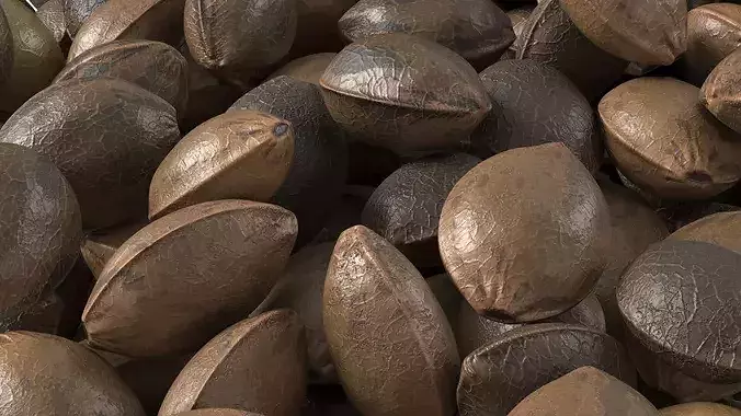 Cannabis Seeds in Bowl 3D model 6