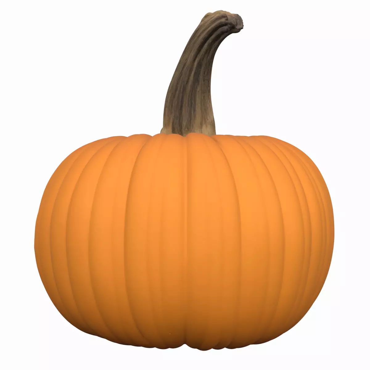 3D Model Large Ribbed Orange Pumpkin Curled Stem Fall 3D model