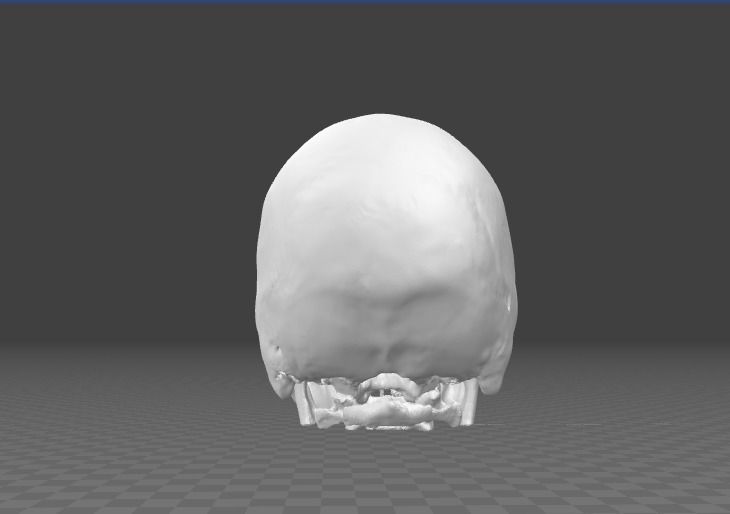 Human Skull female - age 24 3D model_1