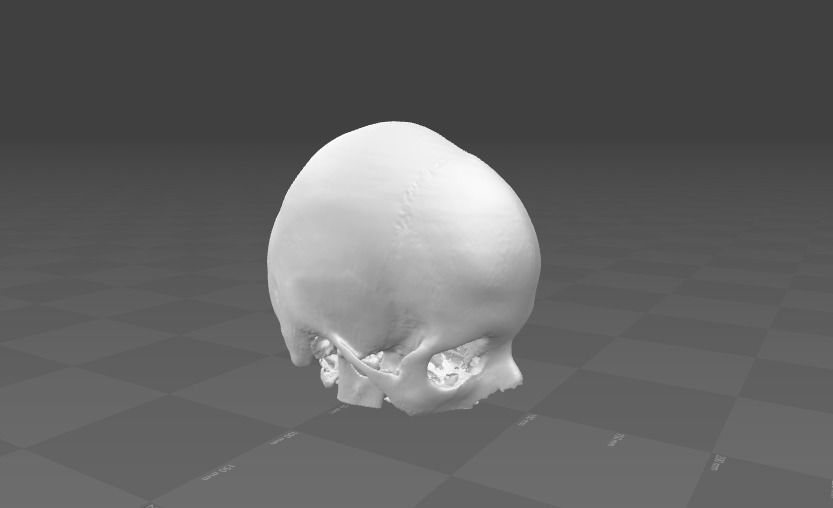 Human Skull female - age 24 3D model_2