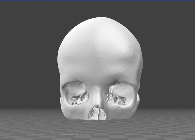 Human Skull female - age 24 3D model