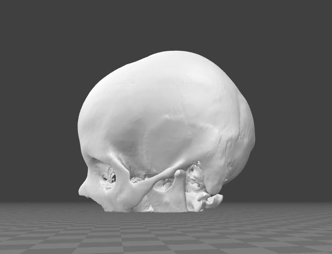 Human Skull female - age 24 3D model_3