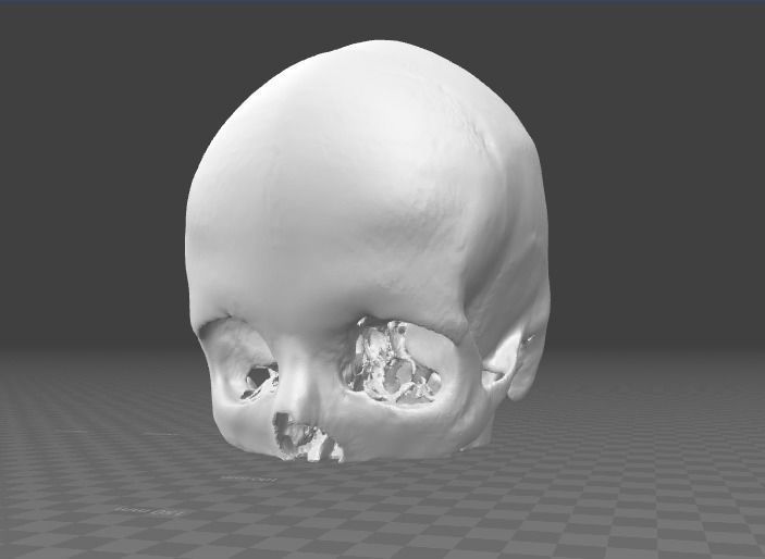 Human Skull female - age 24 3D model_5