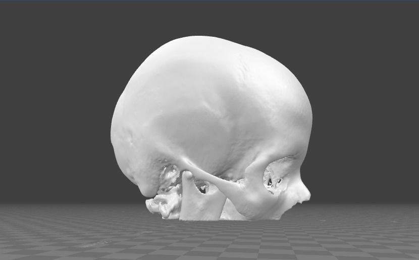 Human Skull female - age 24 3D model_4