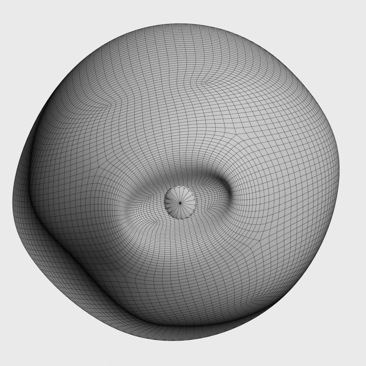 PEARS pear 3D model_3