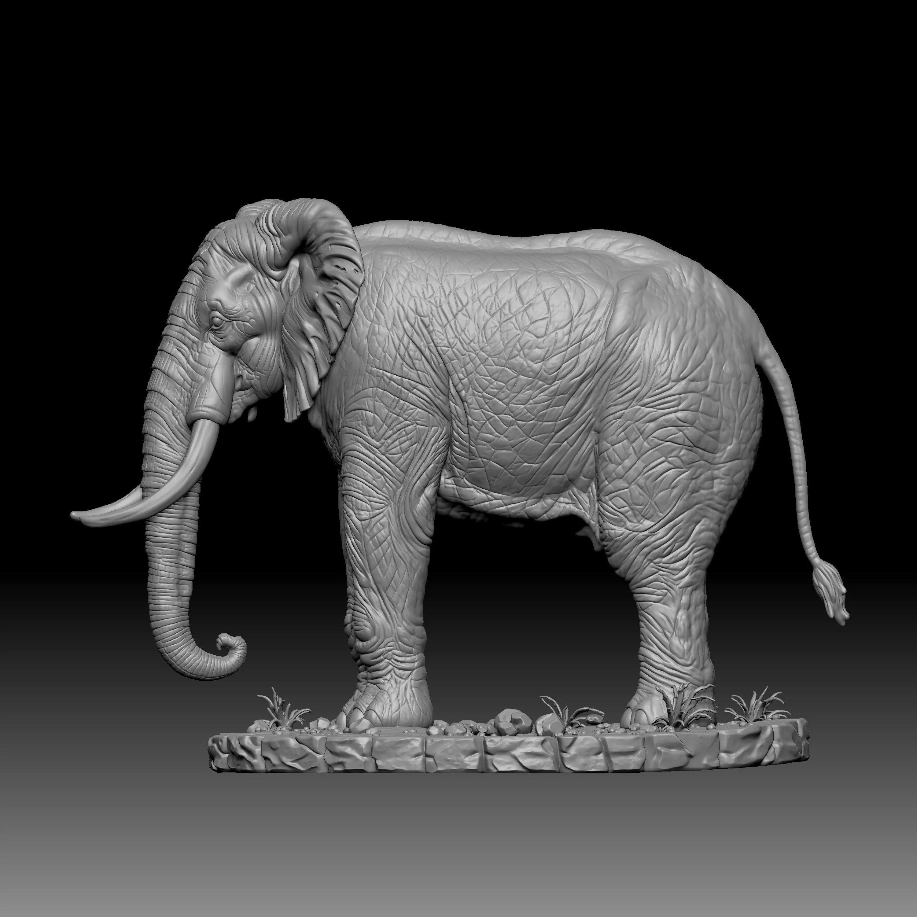African elephant 3D print model