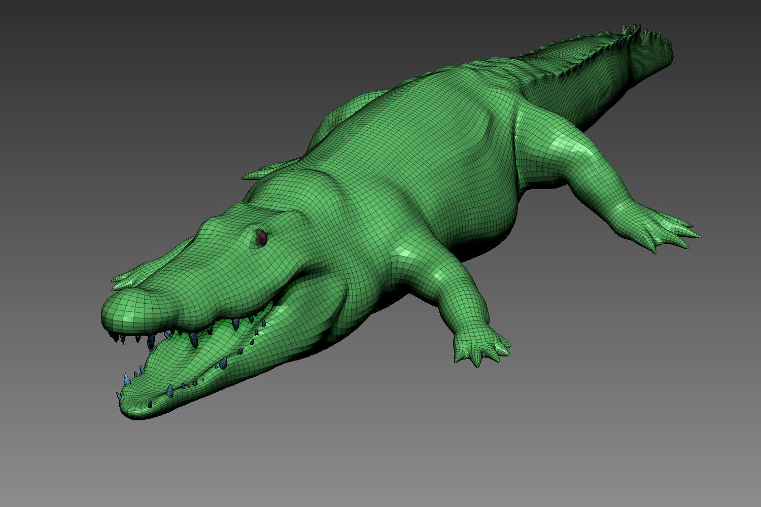 Crocodile base mesh for Zbrush 3D model_5