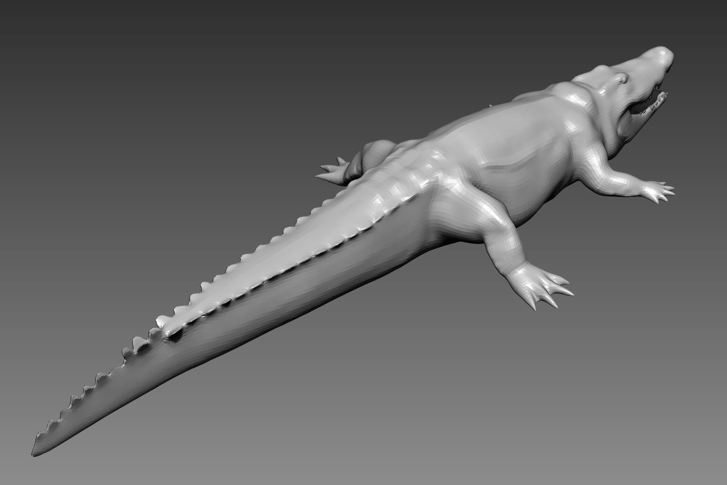 Crocodile base mesh for Zbrush 3D model_4