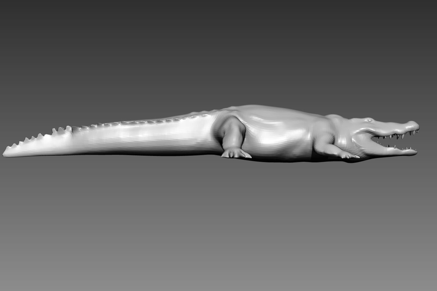 Crocodile base mesh for Zbrush 3D model_3