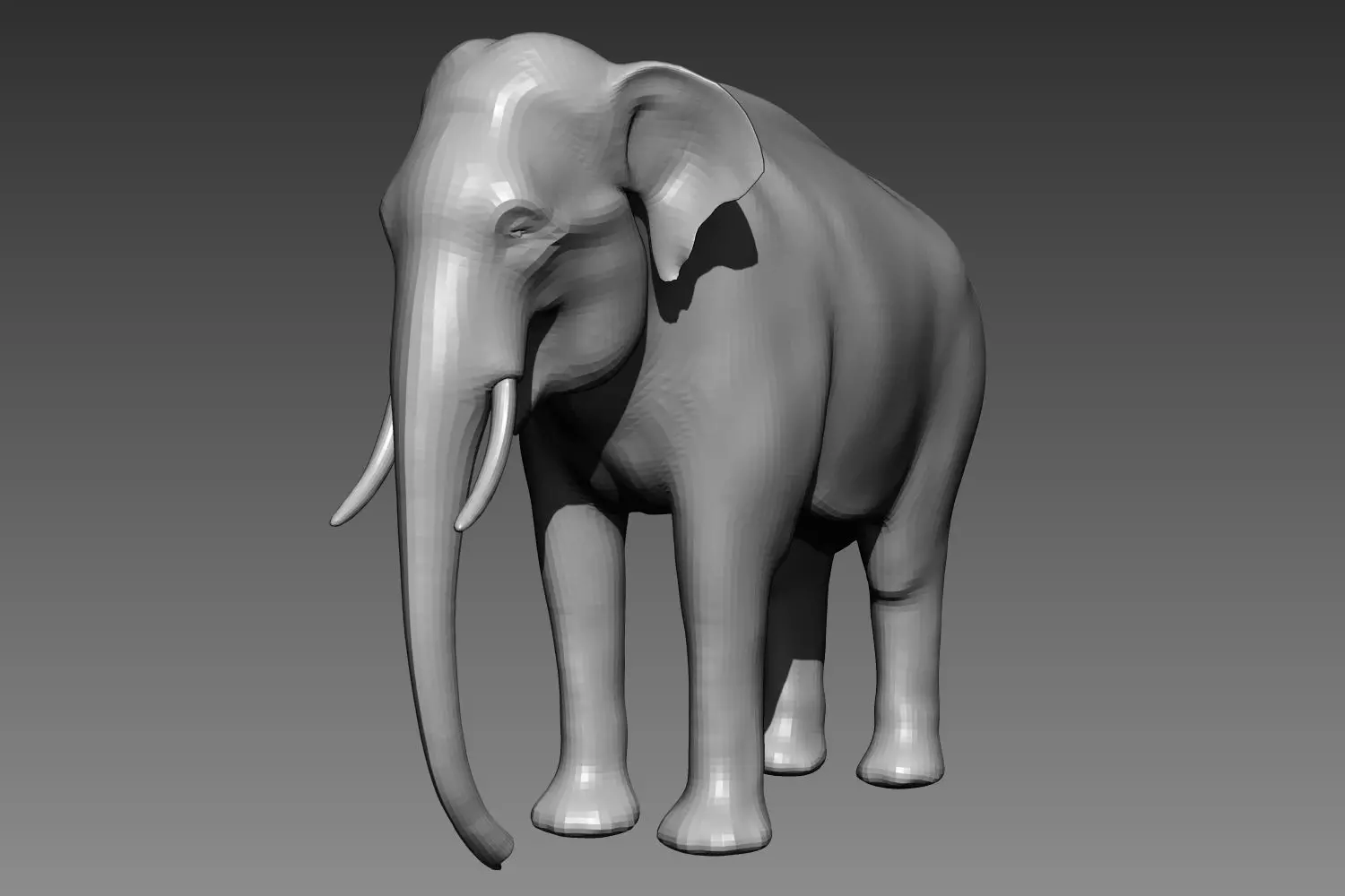 Elephant base mesh for Zbrush 3D model