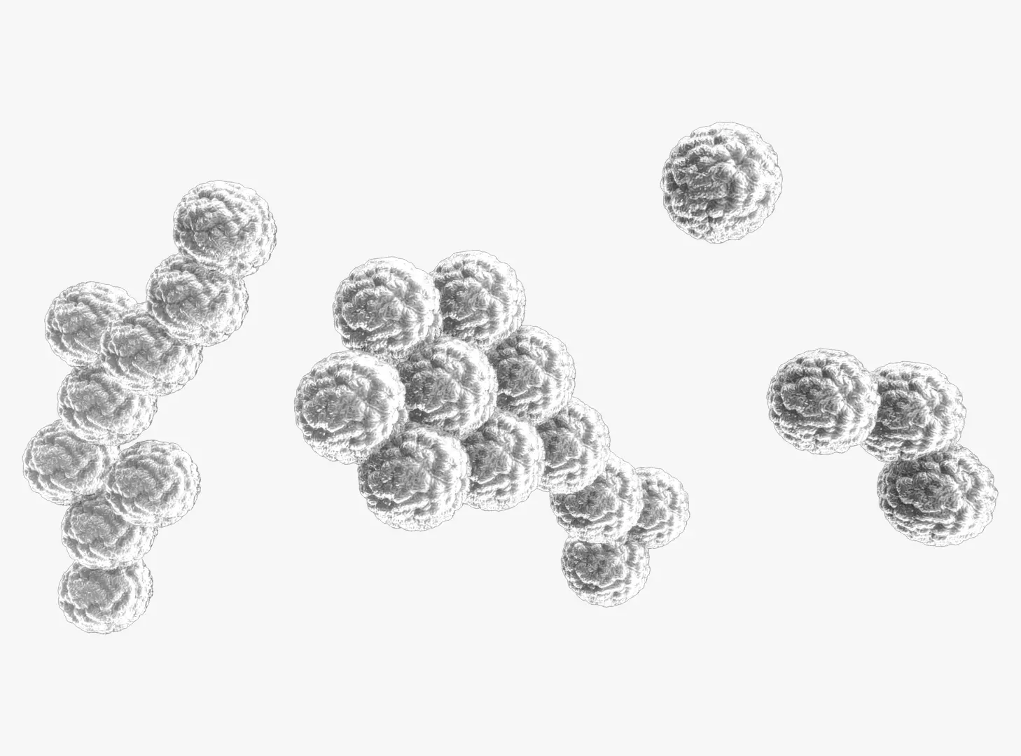 Staphylococcus Aureus Staph Bacteria 3D model