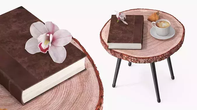 Wood Slab Coffee Table with Cup and Book 3D model 3