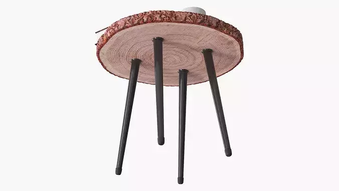 Wood Slab Coffee Table with Cup and Book 3D model 4