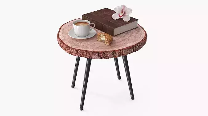 Wood Slab Coffee Table with Cup and Book 3D model