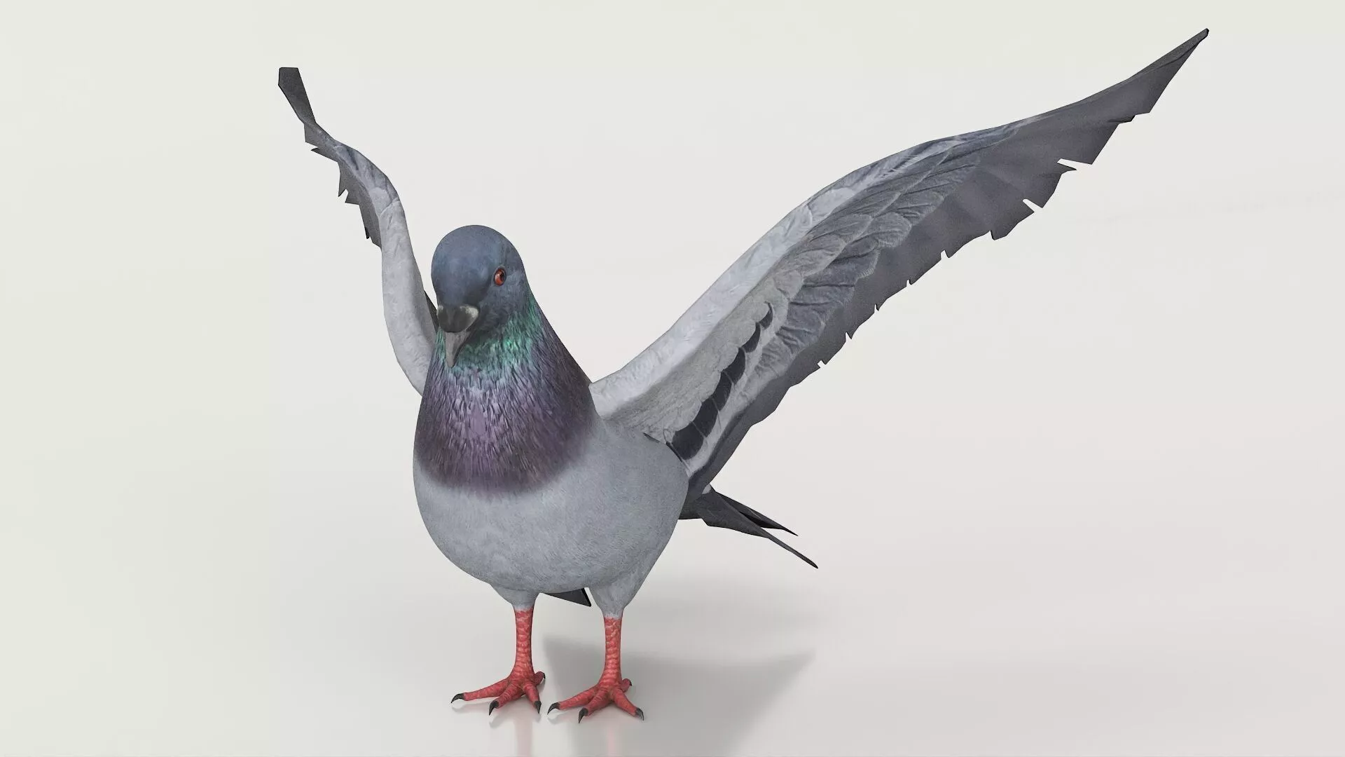 Low Poly Pigeon Flying Animated Rigged For Maya Low-poly 3D model