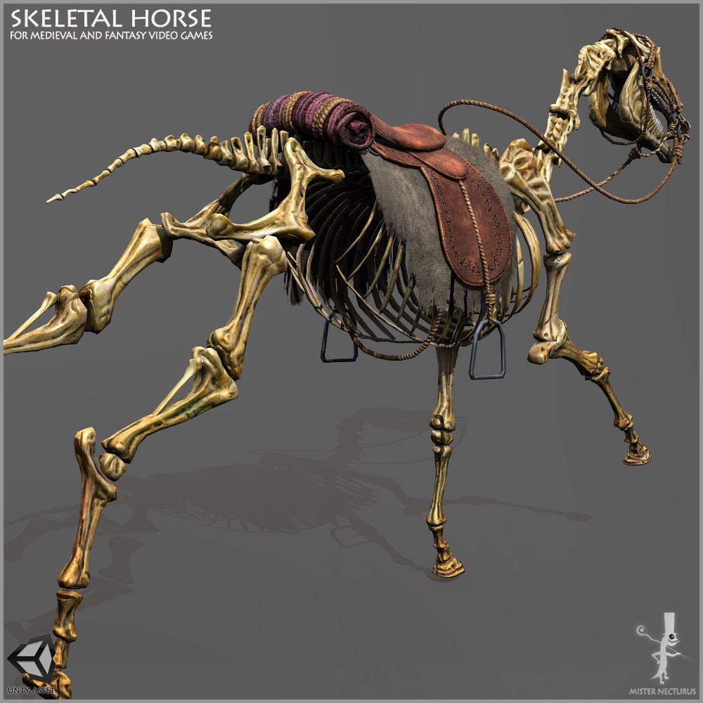 Skeletal Horse Light Version Low-poly 3D model_7
