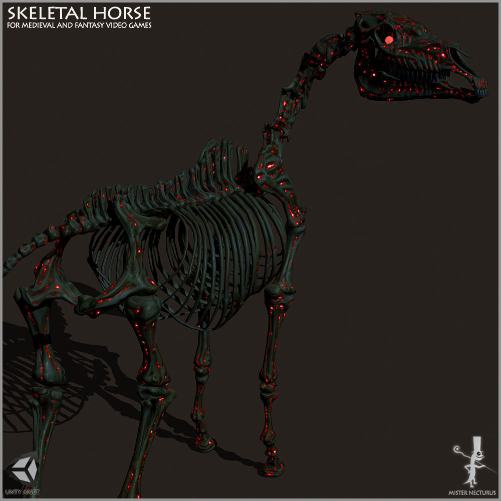 Skeletal Horse Light Version Low-poly 3D model_4